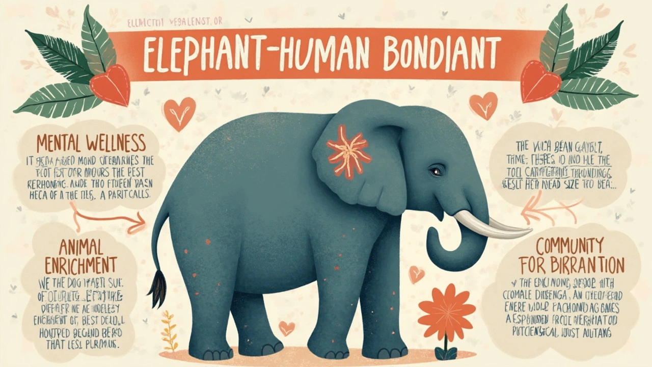 Experiencing Elephant Massage Ethically: Tips for Visitors and Enthusiasts